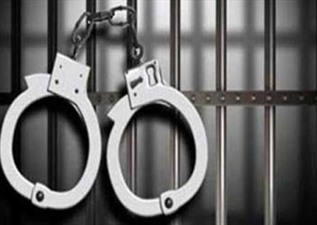 سرقت ۵۰ میلیاردی مستخدم زن از خانه‌ای در شهرک غرب