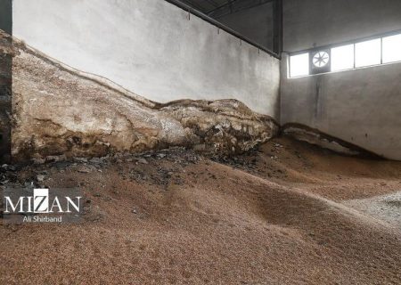 ترخیص و تخلیه محموله ۲۹۰۰ تنی ذرت آلوده از بندر امیرآباد بهشهر