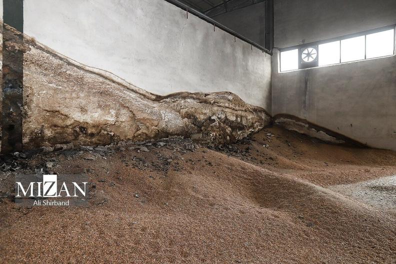 ترخیص و تخلیه محموله ۲۹۰۰ تنی ذرت آلوده از بندر امیرآباد بهشهر