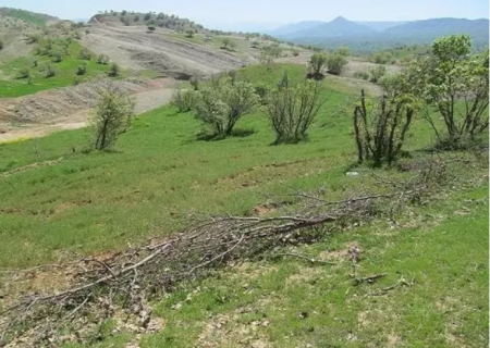 تحویل و تحول اراضی ملی پلاک‌های نصرت آباد و حلقه دره شهرستان نظرآباد  