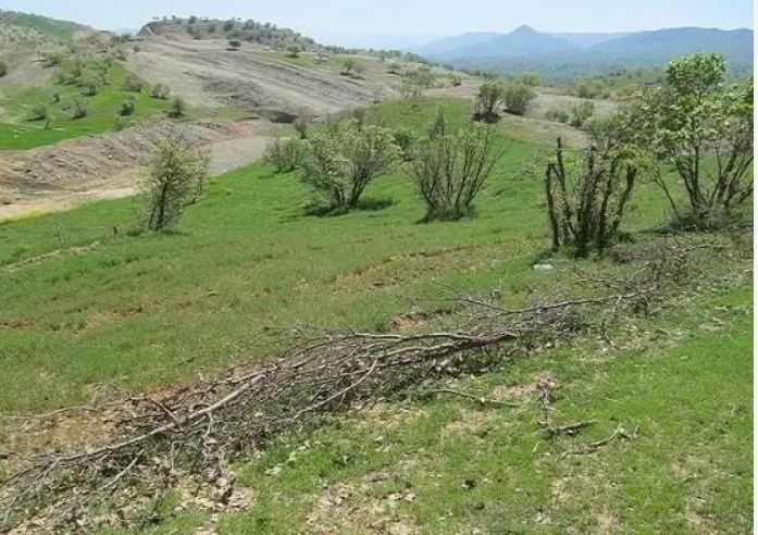 تحویل و تحول اراضی ملی پلاک‌های نصرت آباد و حلقه دره شهرستان نظرآباد  