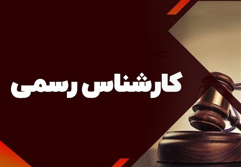 ارجاع ۳۰۰ پرونده به یک کارشناس رسمی در یک ماه!