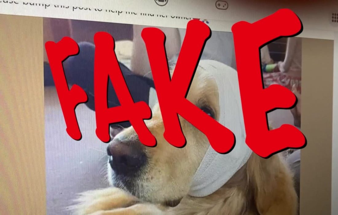 مراقب به اشتراک گذاری ترفندهای کلاهبرداری باشید!