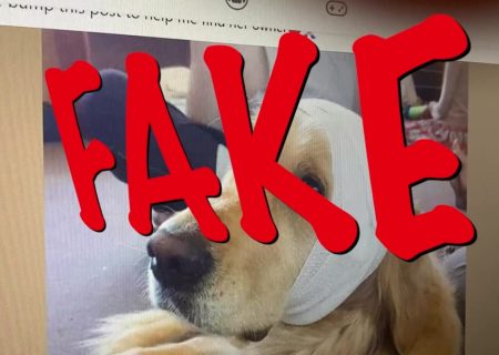 مراقب به اشتراک گذاری ترفندهای کلاهبرداری باشید!