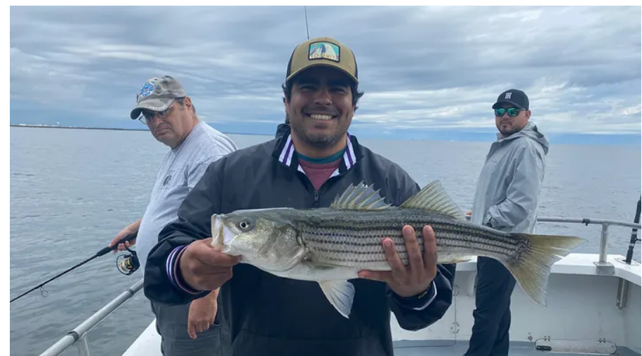 فواید ماهیگیری