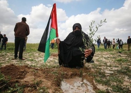 شمار شهدای اردوگاه جنین به ۴ نفر رسید