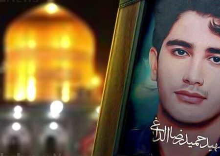 قاتل شهید حمیدرضا الداغی به دار مجازات آویخته شد