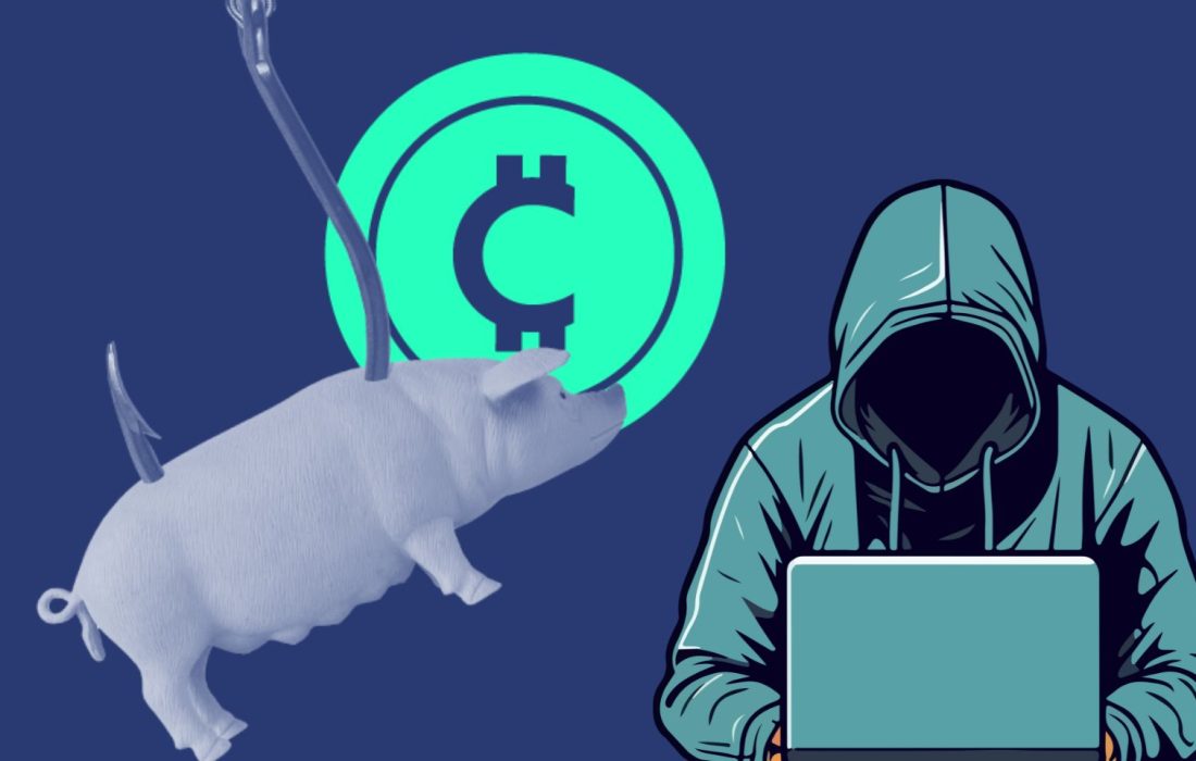 توقیف ۹ میلیون دلار ارز دیجیتال مرتبط با طرح کلاهبرداری عاشقانه