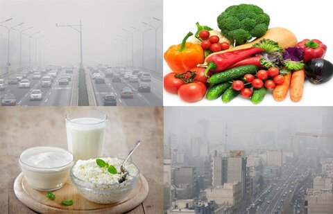 تغذیه مناسب راهکاری برای مقابله با آلایندههای هوا