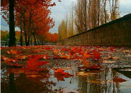 هواشناسی امروز ۲۲ آذر ۱۴۰۲