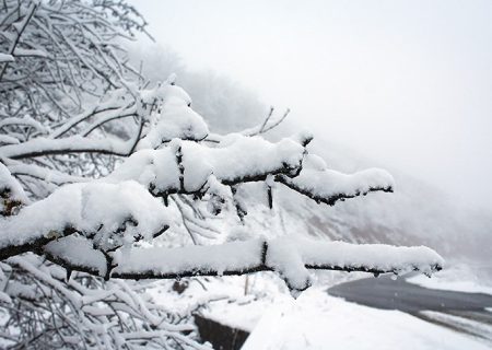 سامانه بارشی جدید در راه ایران