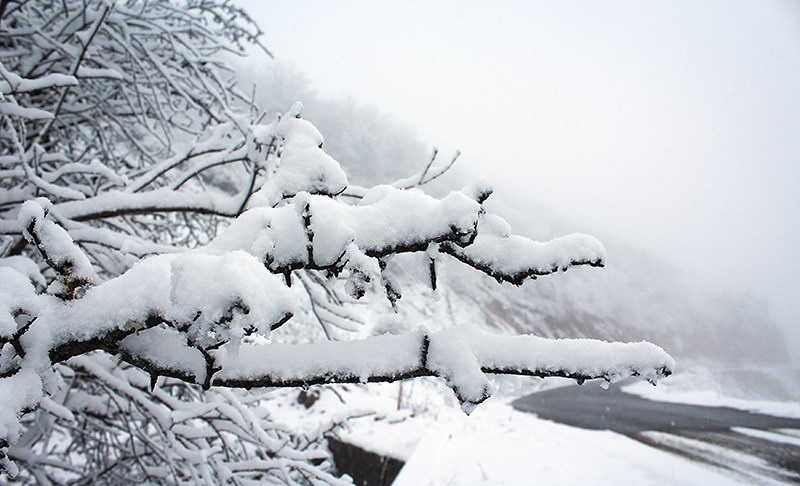 هواشناسی ایران ؛  افزایش دما در اکثر مناطق کشور / سامانه بارشی شنبه وارد کشور می‌شود