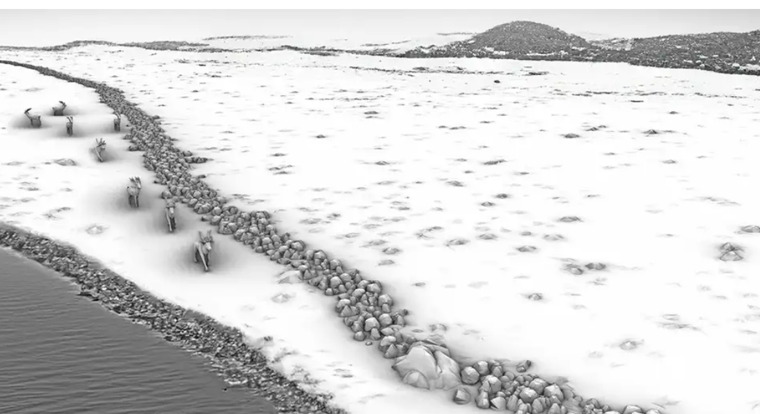 کشف دیوار سنگی عصر یخبندان در آلمان