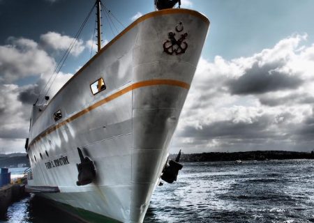 ربات های مارمولک مانند مجهز به هوش مصنوعی