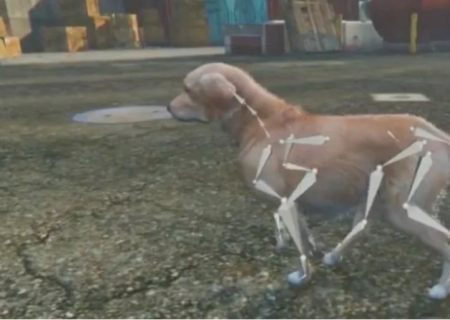 تبدیل عکس های سگ به مدل های سه بعدی با کمک هوش مصنوعی