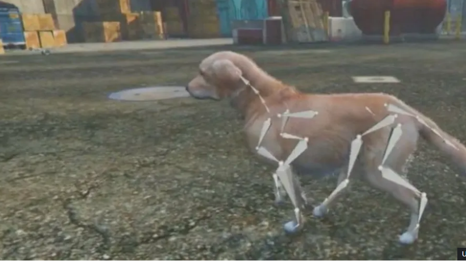 تبدیل عکس های سگ به مدل های سه بعدی با کمک هوش مصنوعی