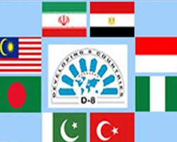 حضور علی باقری سرپرست وزارت امور خارجه در نشست فوق العاده شورای وزیران دی ۸