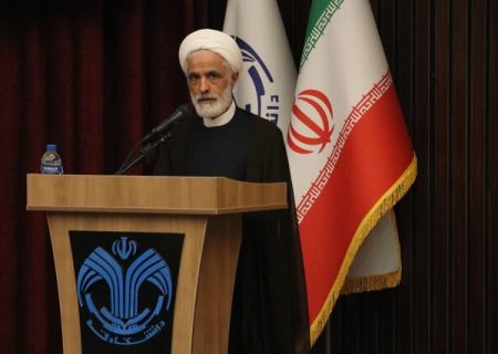انصاری : قانون عفاف و حجاب در حالت تعلیق قرار گرفته است/باید به پدیده ها نگاه حقوقی داشته باشیم