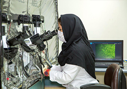 طاهرخانی: دستیابی محققان جهاد دانشگاهی به ۸ دانش فنی آزمایشگاهی و صنعتی