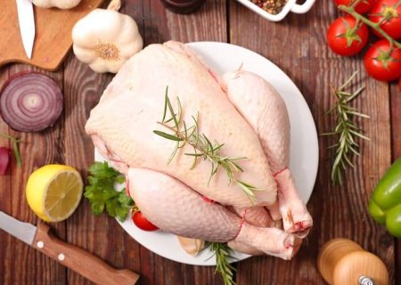 معاون امور تولیدات دامی : تولیدات پروتینی درکشور کیفی است/ مازاد تخم مرغ و گوشت مرغ در کشور داریم