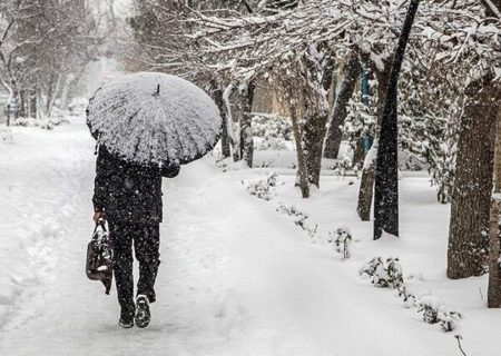 هشدار سطح نارنجی شماره ۲۵ هواشناسی برای بارش برف / دستگاه های اجرایی البرز به حالت آماده باش درآمدند