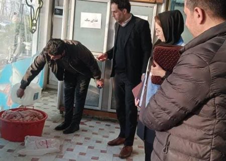 معدوم سازی ۲۱۰ کیلوگرم گوشت مرغ در نظرآباد