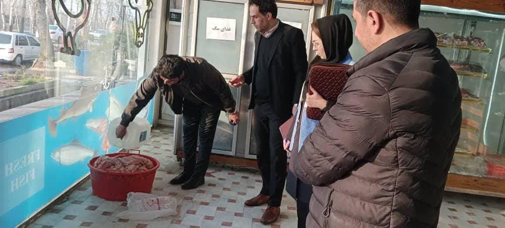 معدوم سازی ۲۱۰ کیلوگرم گوشت مرغ در نظرآباد