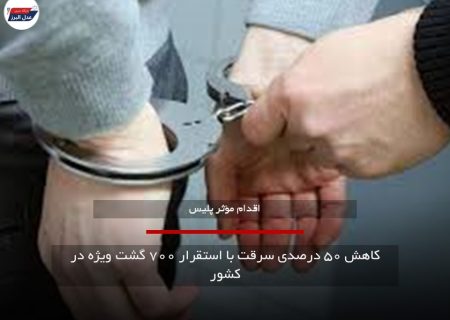 کاهش ۵۰ درصدی سرقت با استقرار ۷۰۰ گشت ویژه در کشور