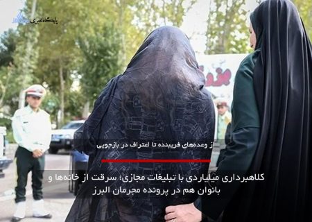 کلاهبرداری ۵۰۰میلیارد ریالی با تبلیغات مجازی؛ سرقت‌ از خانه‌ها و بانوان هم در پرونده مجرمان البرز