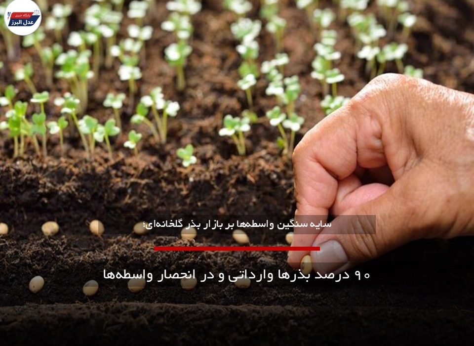 ۹۰ درصد بذرها وارداتی و در انحصار واسطه‌ها