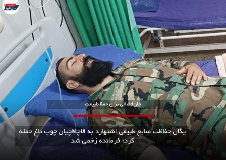 یگان حفاظت منابع طبیعی اشتهارد به قاچاقچیان چوب تاغ حمله کرد؛ فرمانده زخمی شد