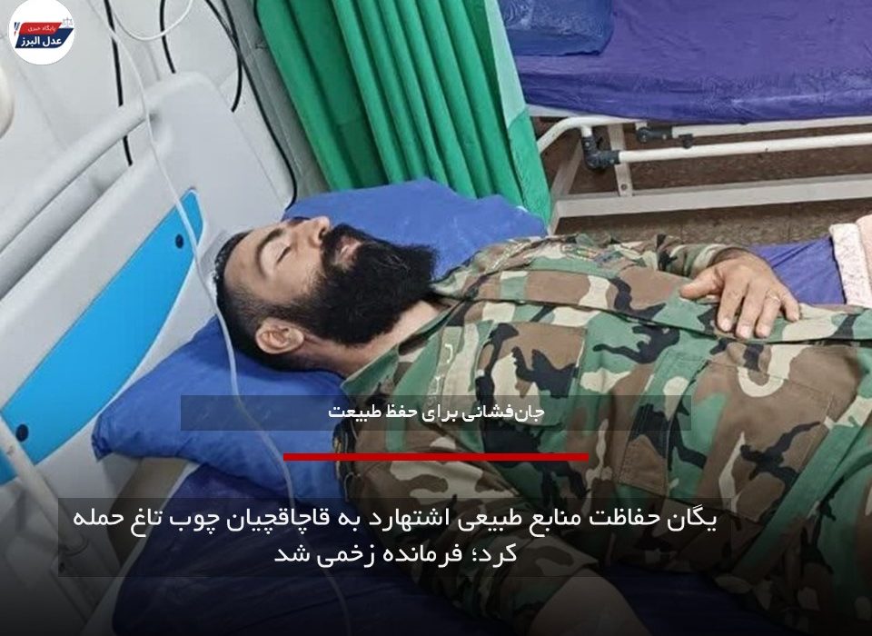 یگان حفاظت منابع طبیعی اشتهارد به قاچاقچیان چوب تاغ حمله کرد؛ فرمانده زخمی شد