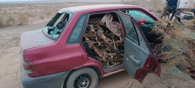 یگان حفاظت منابع طبیعی