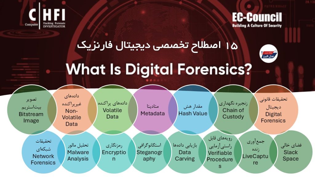 15 اصطلاح تخصصی دیجیتال فارنزیک