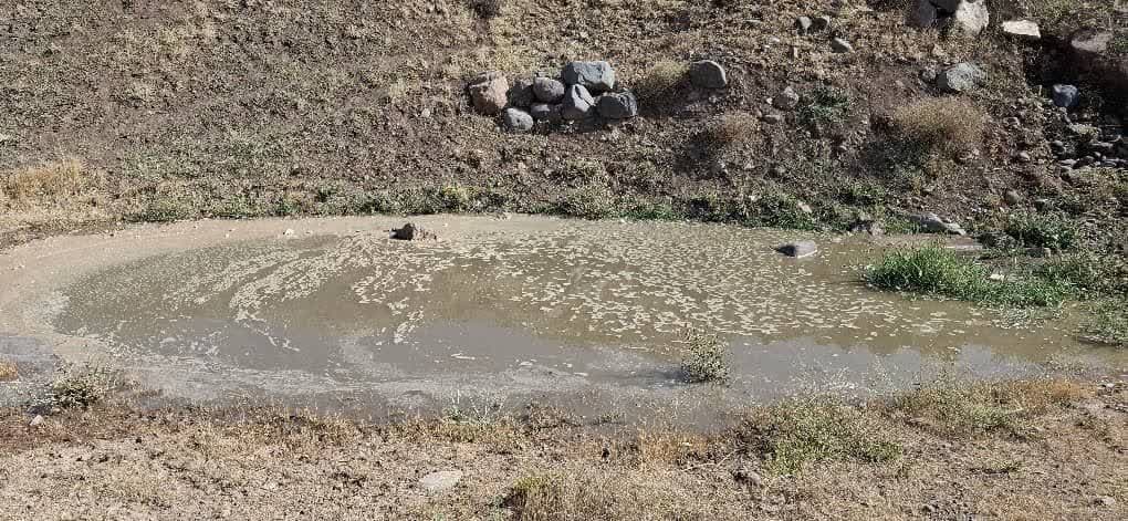 طالقان