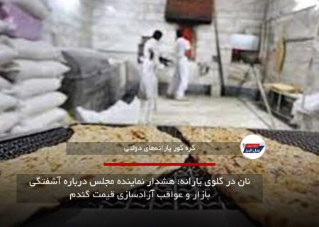 نان در گلوی یارانه؛ هشدار نماینده مجلس درباره آشفتگی بازار و عواقب آزادسازی قیمت گندم