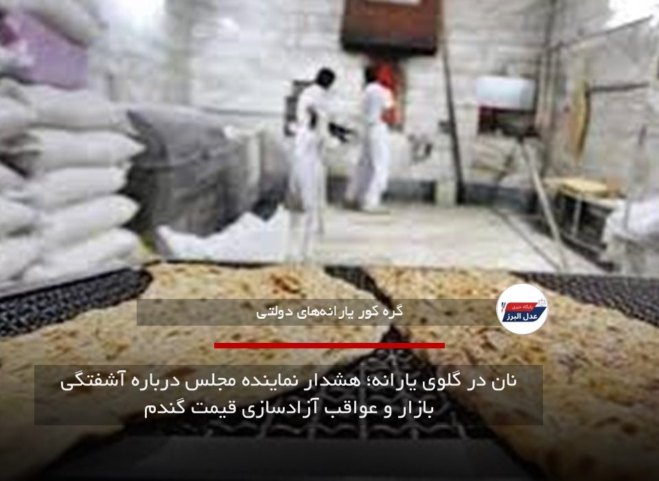 نان در گلوی یارانه؛ هشدار نماینده مجلس درباره آشفتگی بازار و عواقب آزادسازی قیمت گندم