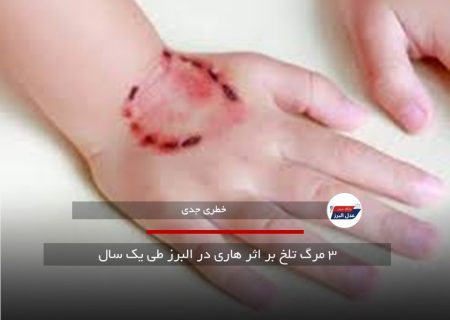 ۳ مرگ تلخ بر اثر هاری در البرز طی یک سال