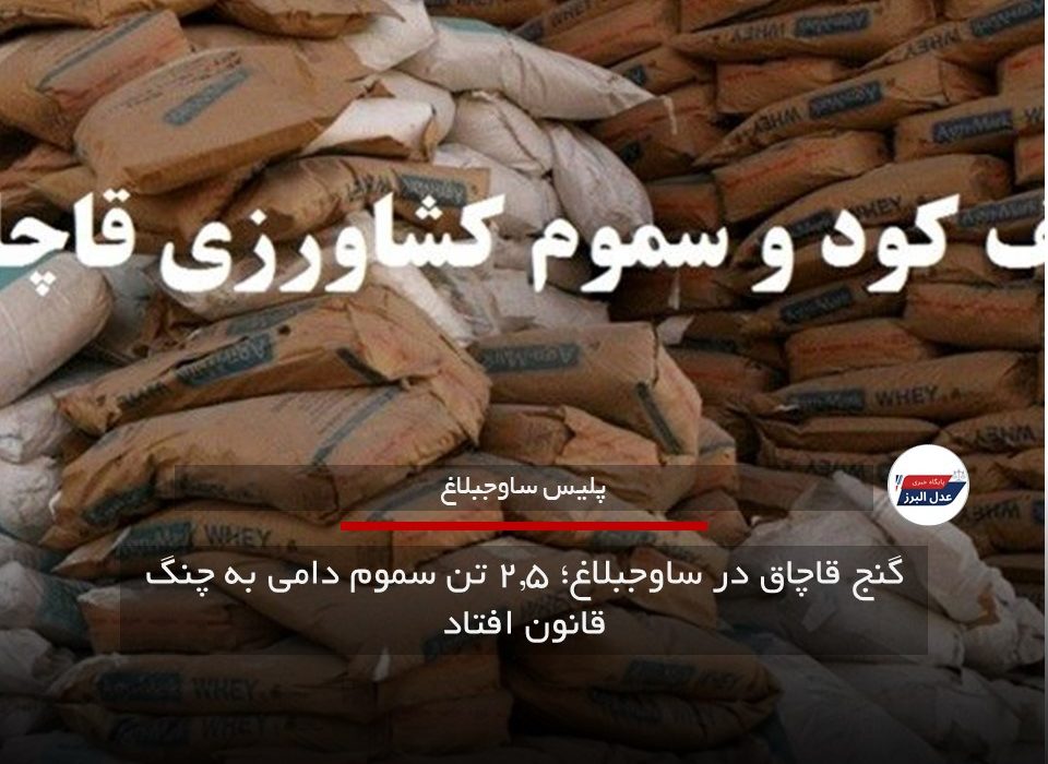 گنج قاچاق در ساوجبلاغ؛ ۲.۵ تن سموم دامی به چنگ قانون افتاد