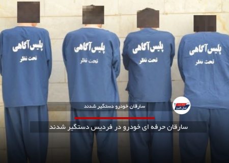 سارقان حرفه ای خودرو در فردیس دستگیر شدند