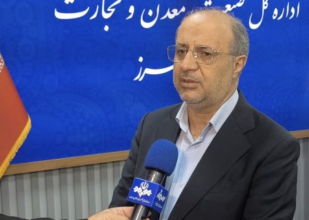 البرز محور بررسی میدانی معادن در طرح ملی “خدمت در استان‌ها”