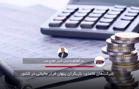شرکت‌های کاغذی؛ بازیگران پنهان فرار مالیاتی در کشور