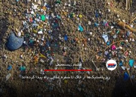 ریزپلاستیک‌ها از خاک تا سفره غذایی راه پیدا کرده‌اند