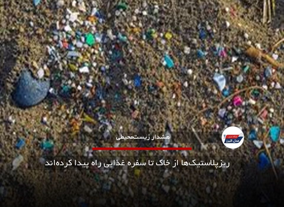 ریزپلاستیک‌ها از خاک تا سفره غذایی راه پیدا کرده‌اند