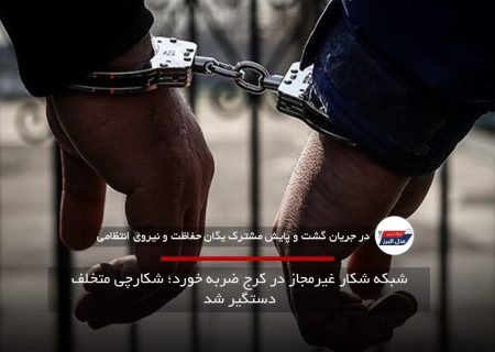 شبکه شکار غیرمجاز در کرج ضربه خورد؛ شکارچی متخلف دستگیر شد