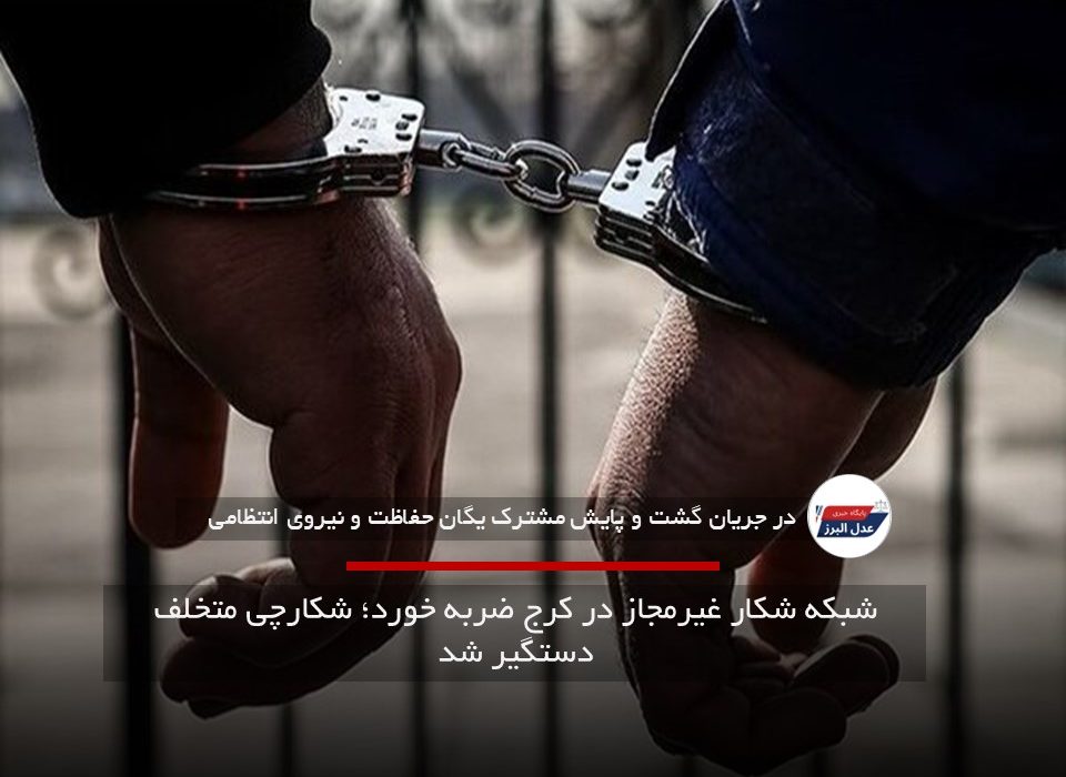 شبکه شکار غیرمجاز در کرج ضربه خورد؛ شکارچی متخلف دستگیر شد