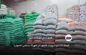  کشف ۸۹ تن حبوبات قاچاق در شهرک صنعتی اشتهارد