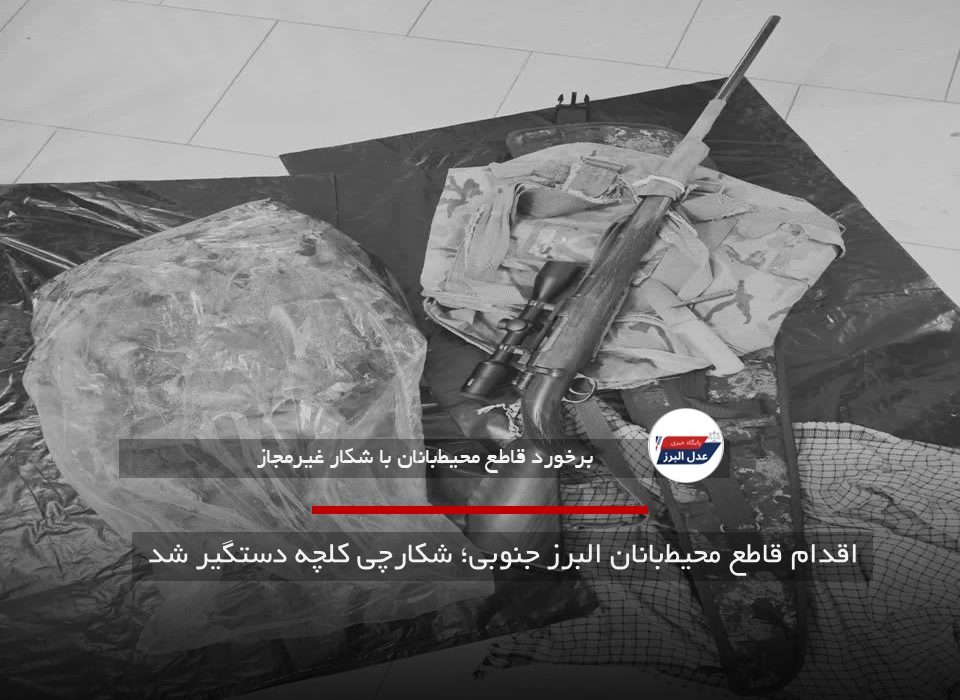 اقدام قاطع محیط‌بانان البرز جنوبی؛ شکارچی کلچه دستگیر شد