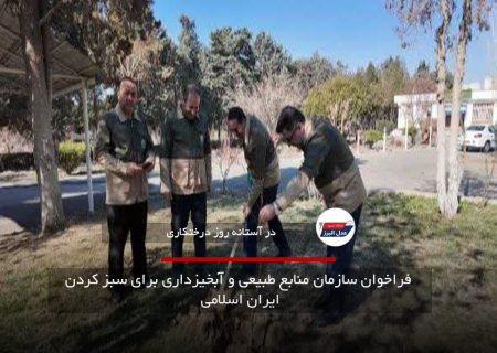 فراخوان سازمان منابع طبیعی و آبخیزداری برای سبز کردن ایران اسلامی