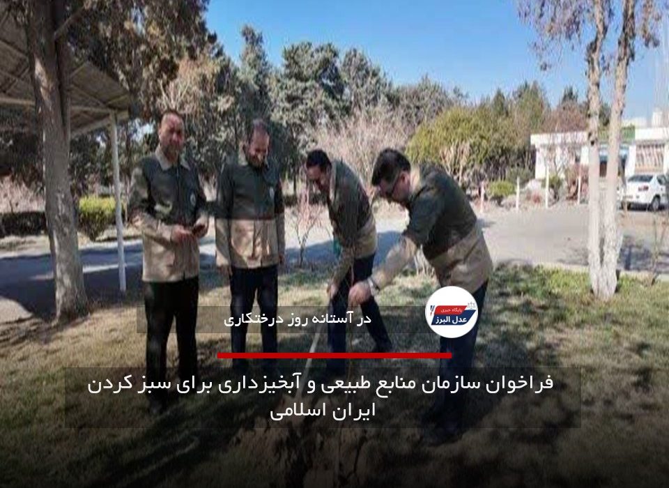 فراخوان سازمان منابع طبیعی و آبخیزداری برای سبز کردن ایران اسلامی
